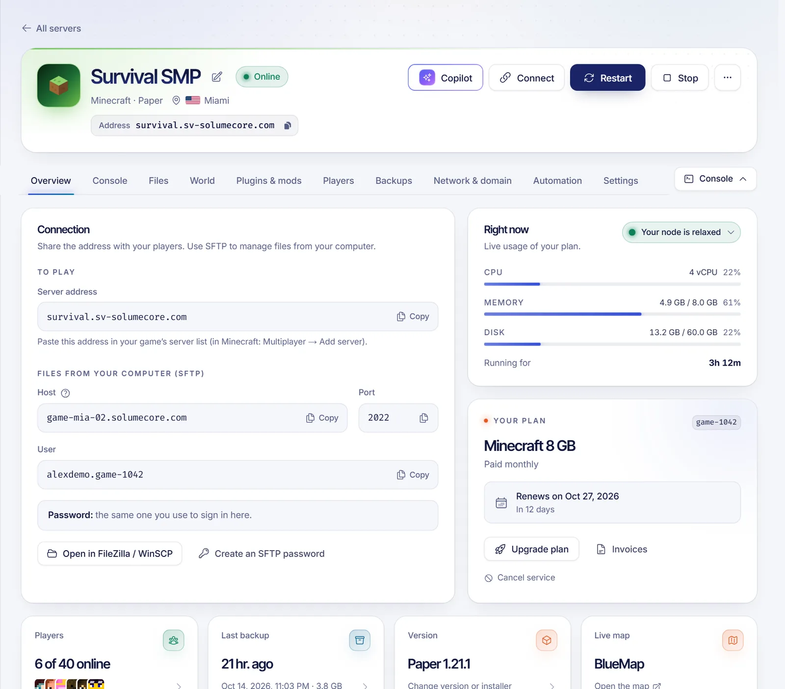 Overview tab of a game server with the power buttons, address and live resource usage