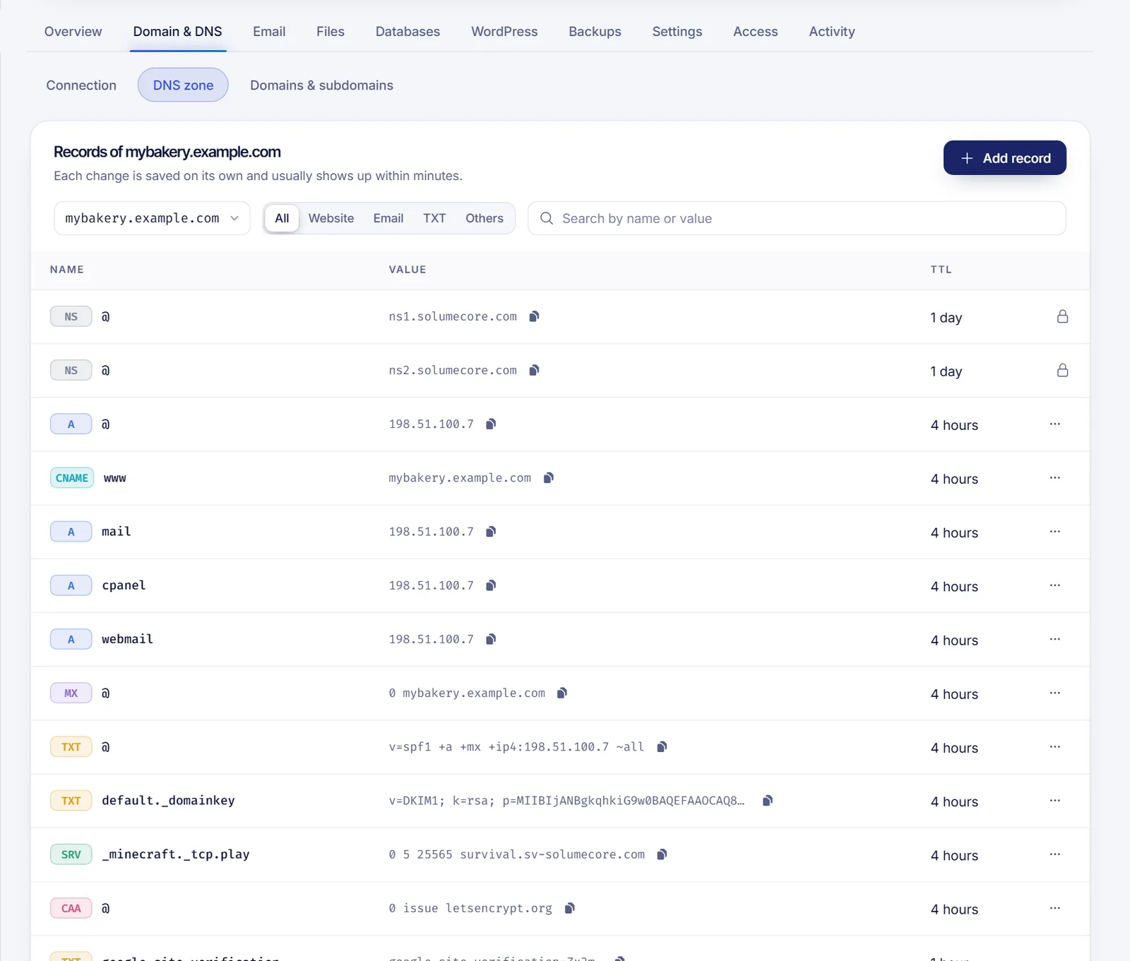DNS zone editor of a web hosting with the table of records, the type filters, the Add record button and the quick templates below