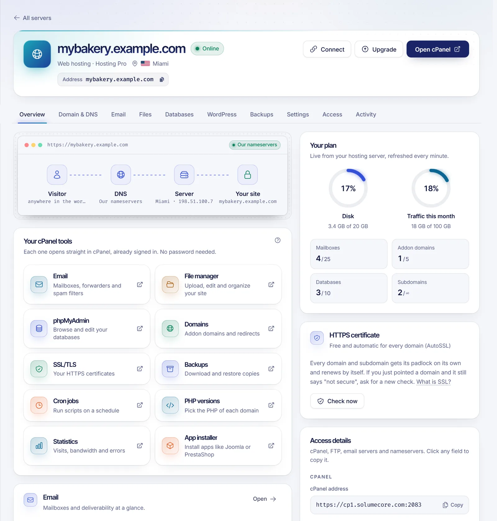 Hosting overview tab with plan usage, DNS path from visitor to site, and the Open cPanel button