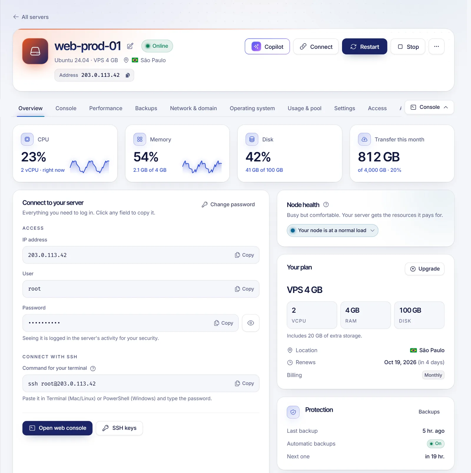 VPS overview page with state, CPU, memory and disk usage, power buttons and connection details